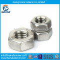 Stock stainless steel DIN934 DIN557 DIN555 5.6 Grade Hex nut